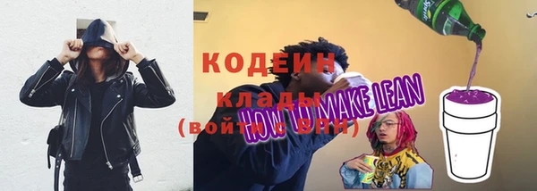 шишки Заводоуковск