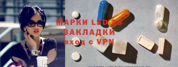шишки Заводоуковск