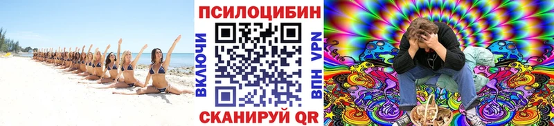 Псилоцибиновые грибы мухоморы  kraken как войти  Истра  площадка клад  наркота 